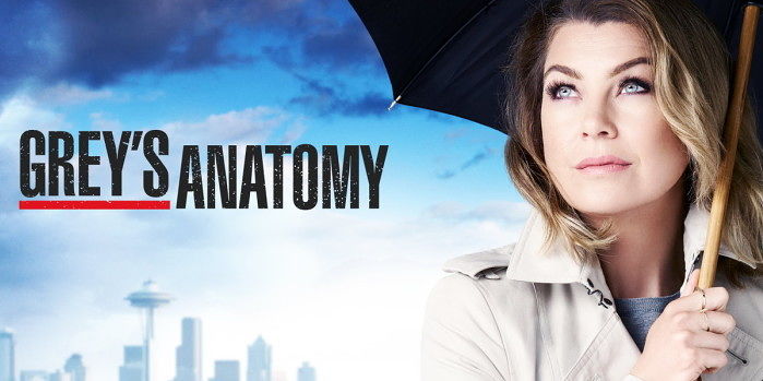 Grey's Anatomy 12