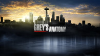 Grey's Anatomy 12