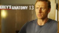 Grey's Anatomy 13