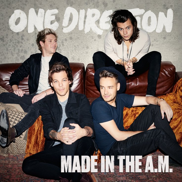 justin bieber one direction made in the am