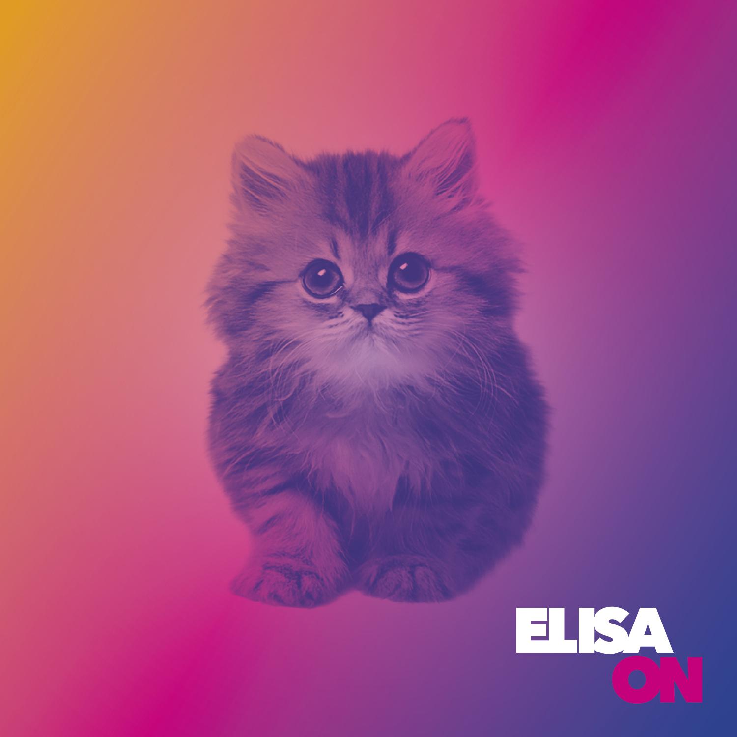 Elisa