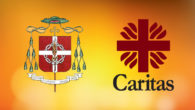 Caritas Milano